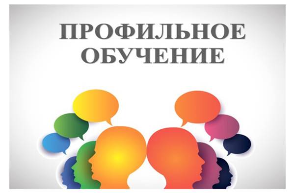 профильное обучение